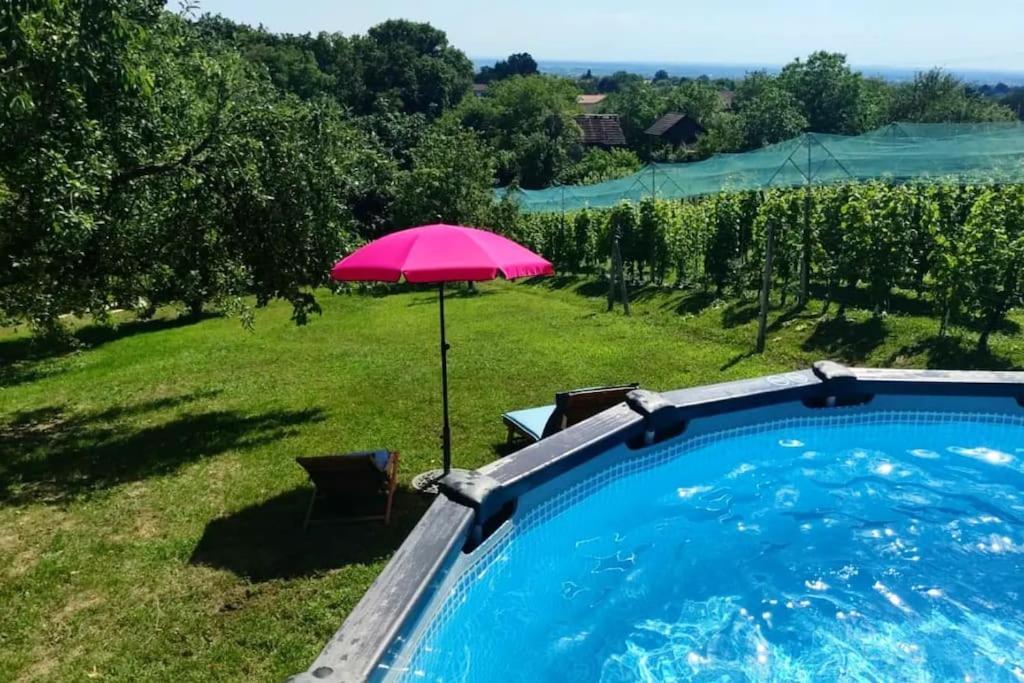 Kuca Za Odmor Villa Cesarica - Zagreb Graberje Ivanićko Zewnętrze zdjęcie