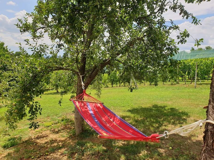 Kuca Za Odmor Villa Cesarica - Zagreb Graberje Ivanićko Zewnętrze zdjęcie